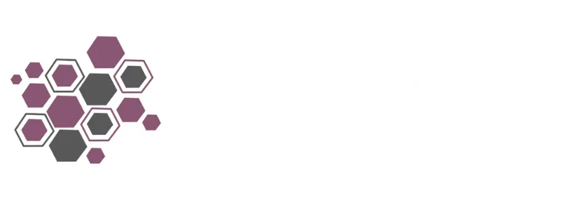 Logo Preview